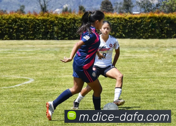 大发娱乐平台生态图